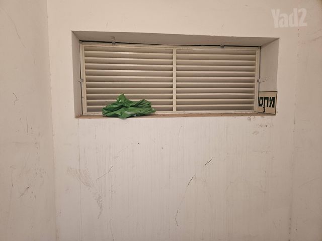 דניאל ליפשיץ 1