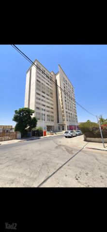 אלכסנדר ינאי 17