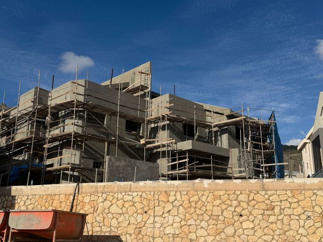 עץ המשאלות 