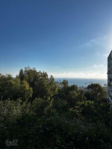 Haifa, Israel 6