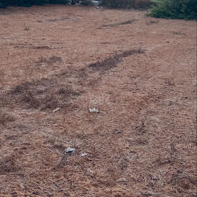 מגרשים, הרצליה פיתוח, הרצליה