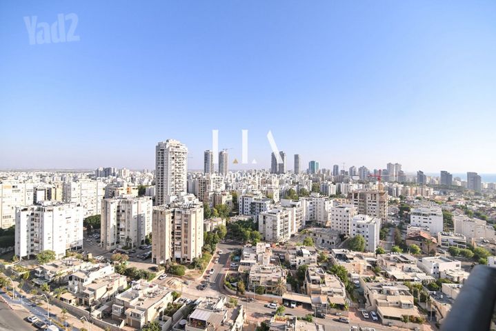 הדקל 7