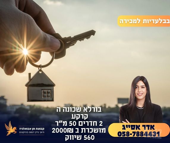 בורלא 