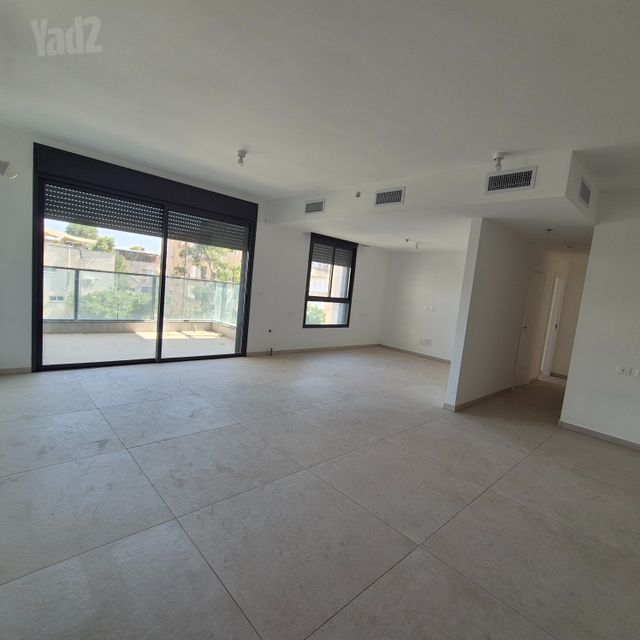 אהרון אייזנברג 