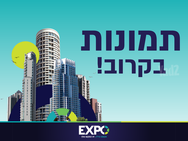 הדקל 32