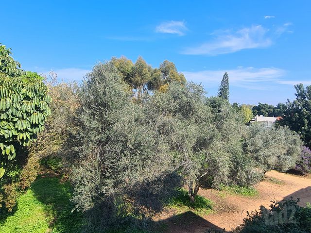 יהלום 30