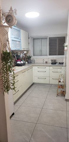 הצבי 121