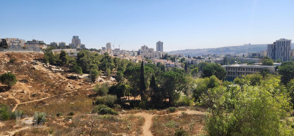 ישראל זנגוויל 13