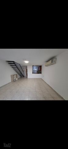 דוד אלעזר 31