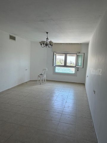 הנופך 241