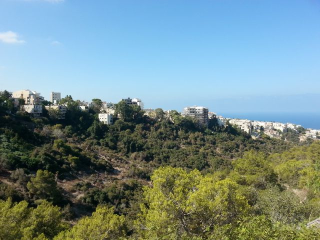 בית לחם 15