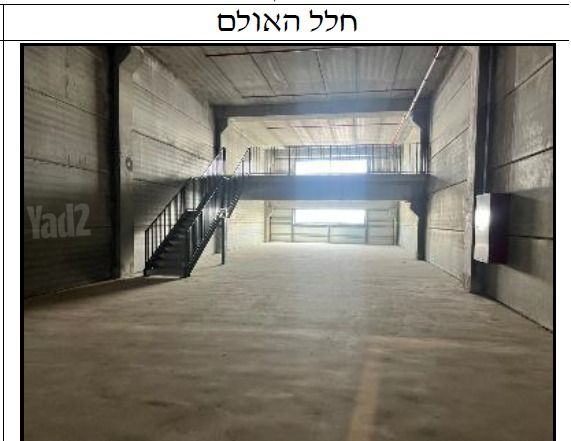 בן ציון גליס 38