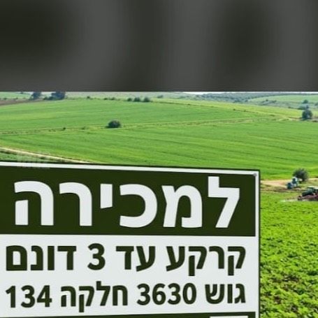 מגרשים