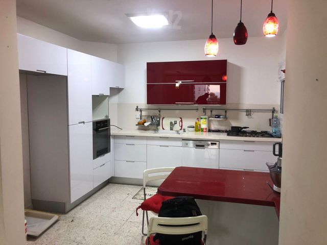 נחל שניר 19