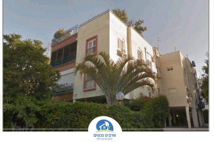 רביבים
