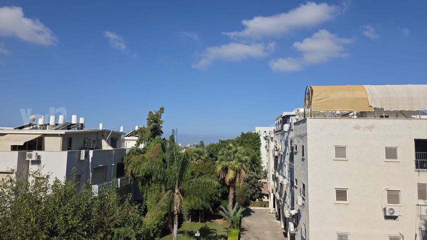 מוריה 