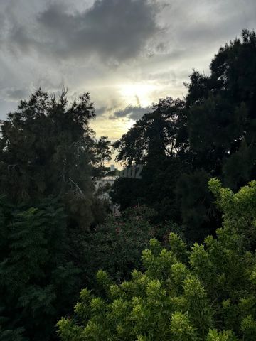 שדרות סיני 