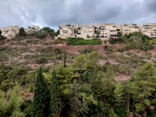 ברל כצנלסון 