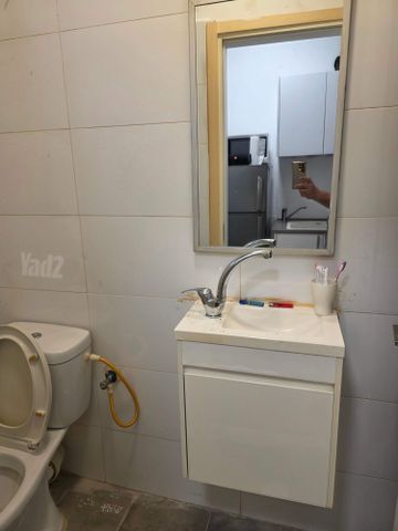 רוטשילד 33
