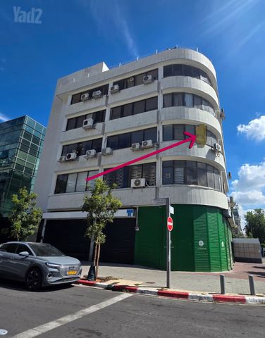 שטיבל 2