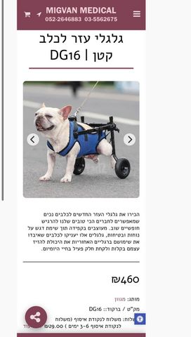 תמונת מודעה - חיות מחמד