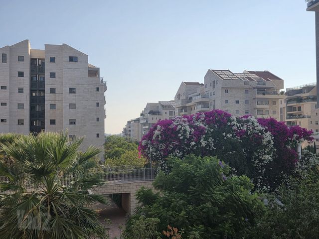 יאיר רוזנבלום 13