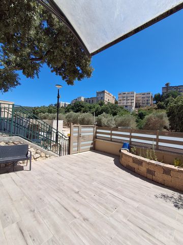 השקד 40