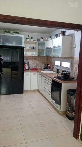 דב יוסף 4