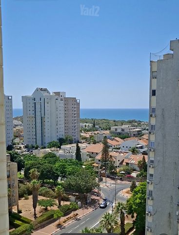 כינרת 47