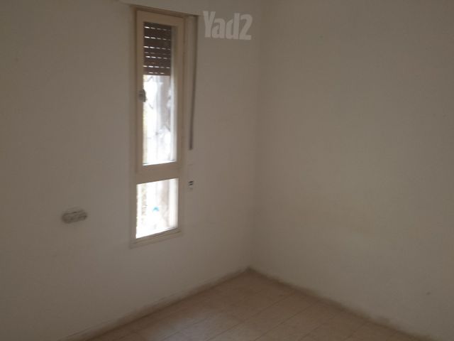 דב גרונר 233