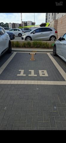 אריה עוזר 8