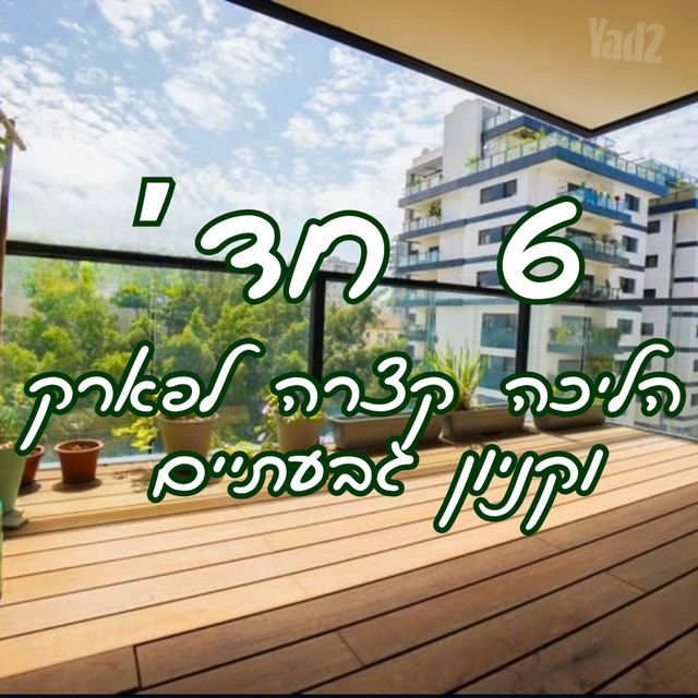 שדה בוקר 