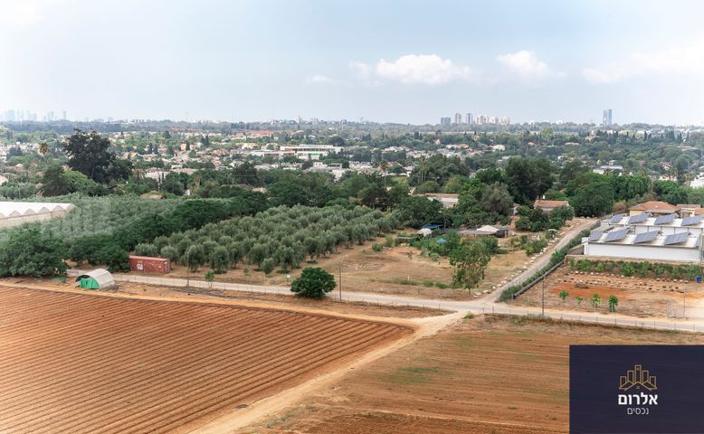 דירה