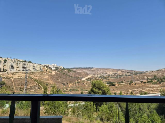 הרב שך 