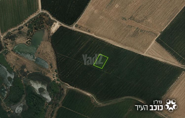 מגרשים