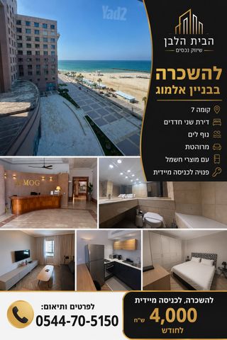 דוד אלעזר 