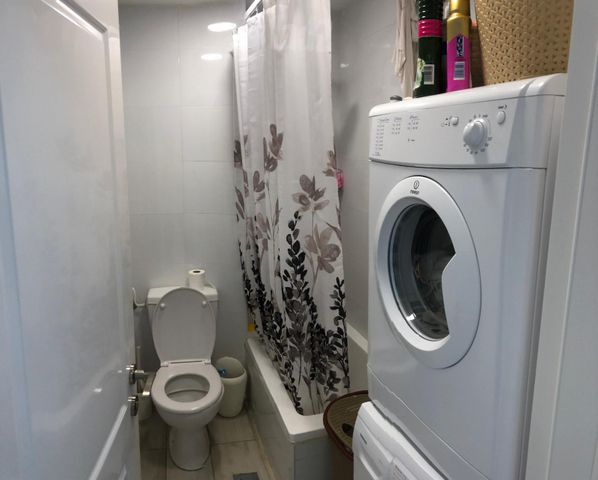 הרב עוזיאל 