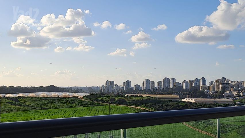 רפאל איתן 14
