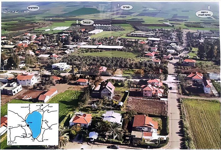 סמדר 1