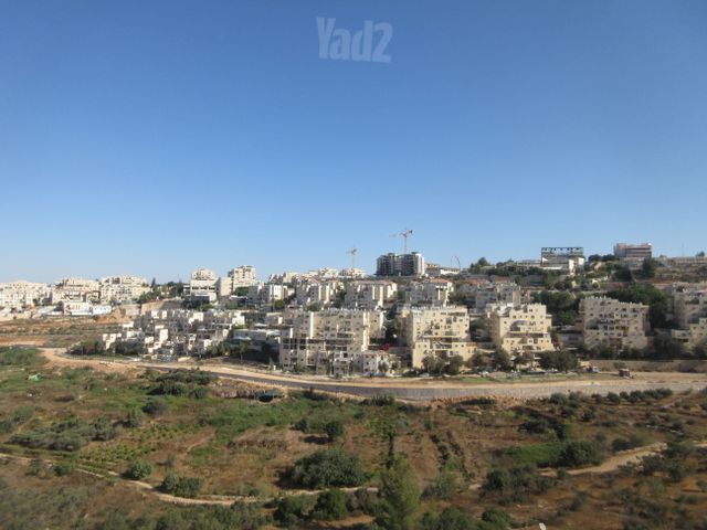 האדמו"ר מרוז'ין 1