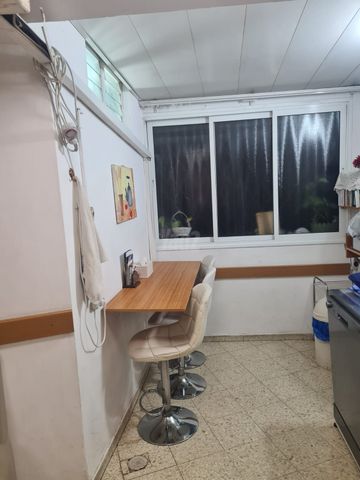 יגאל אלון 24