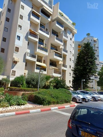 שאול אביגור 4