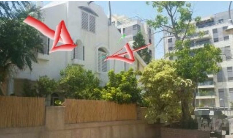 משה בריל 36