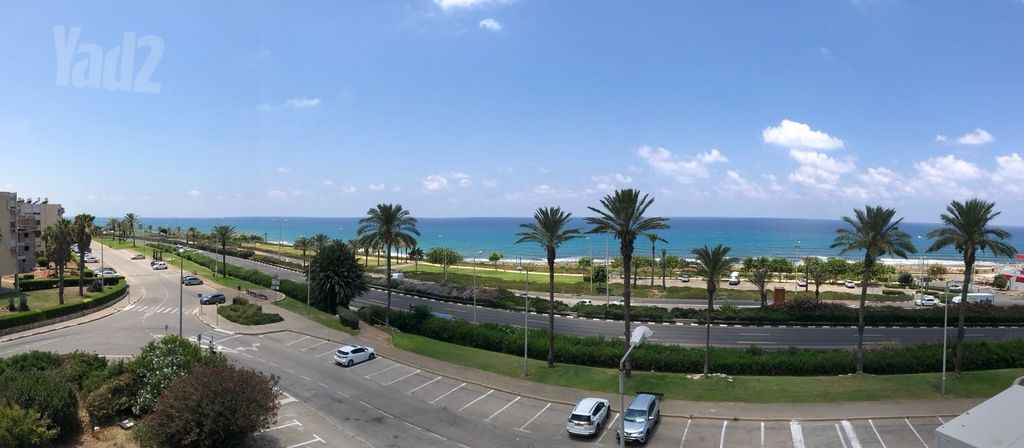 הרותם 