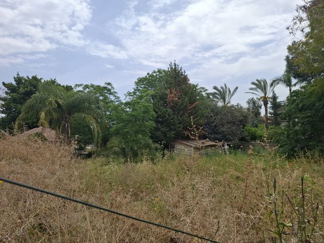 השלום 