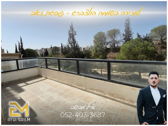 שמחה הולצברג 