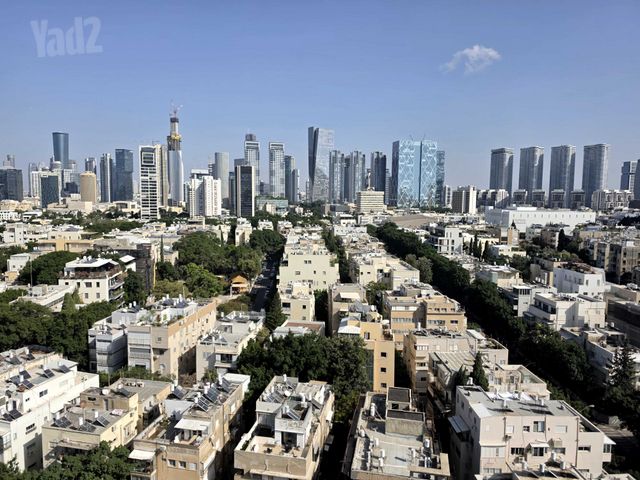 דיזנגוף 50