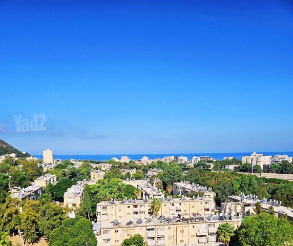 אברהם לייסין 