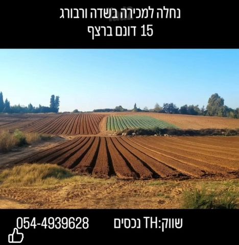 משק חקלאי/ נחלה