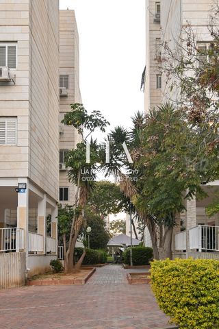 יואב בן צרויה 